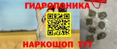 эйфоретик Аргун