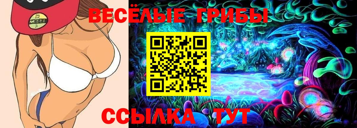 купить наркотик  Вход с VPN  Ачхой-Мартан  Псилоцибиновые грибы Cubensis  Галлюциногенные грибы мухоморы 