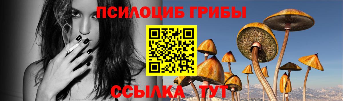 Псилоцибиновые грибы мухоморы Ачхой-Мартан